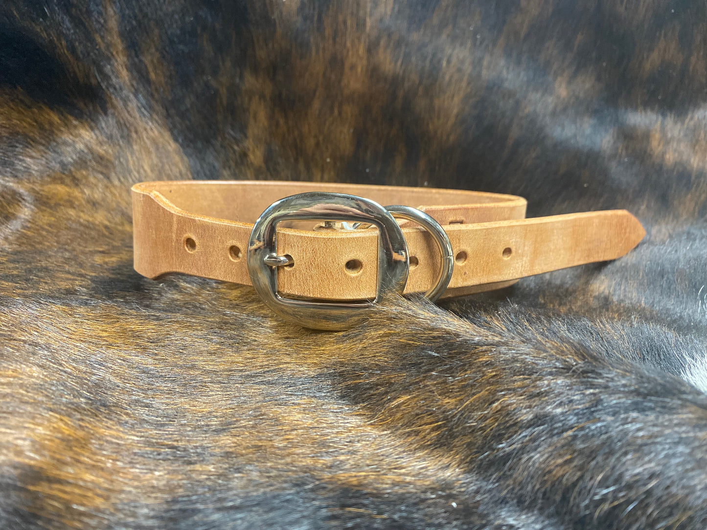 Dog Collar